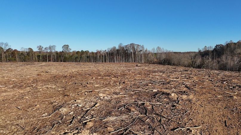 dji_fly_20251114_083254_0991_1763127660987_photo