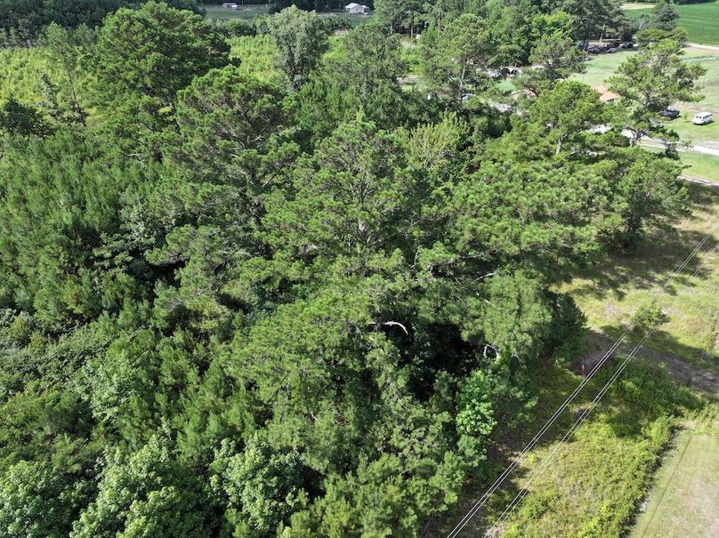 DJI_20240710101556_0001_D