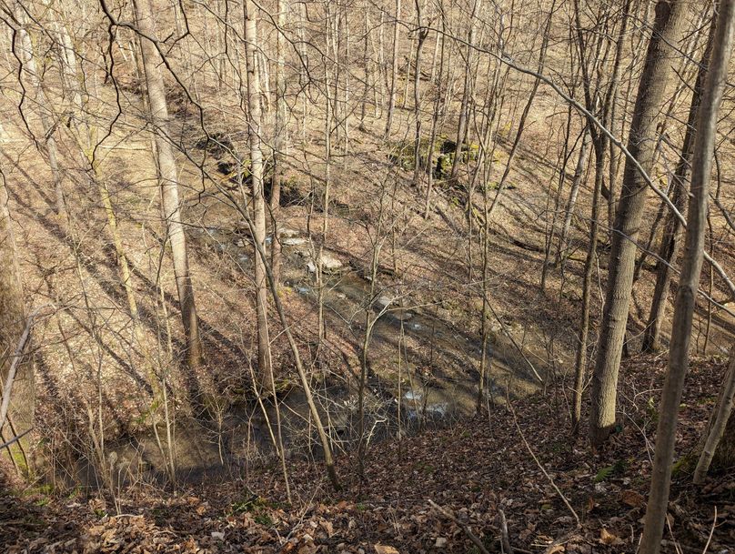 PXL_20230301_165713075