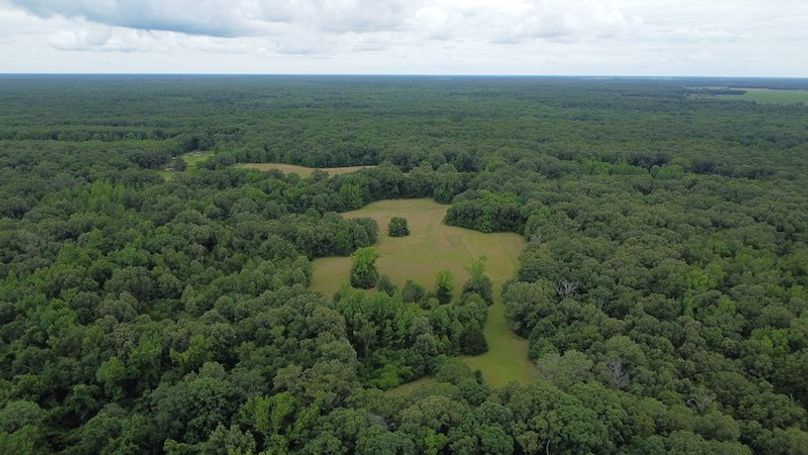DJI_0262