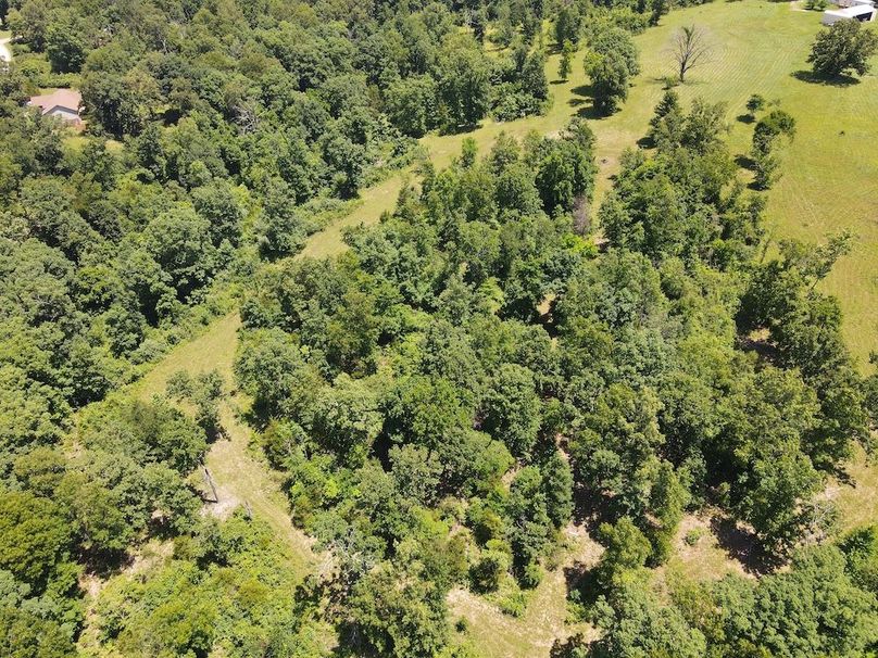 DJI_0831