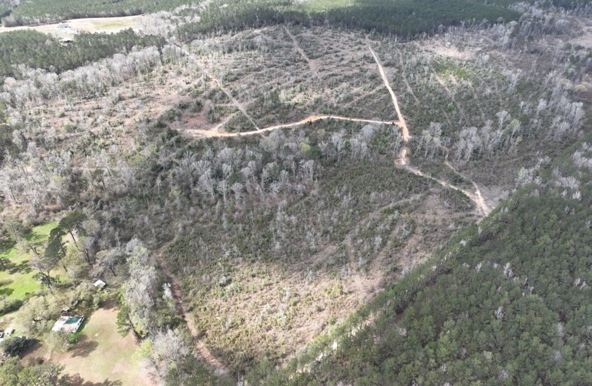 dji_fly_20260303_140022_292_1772637944931_photo