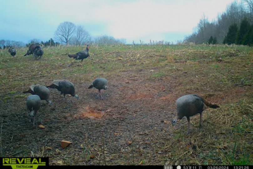 trail cam10