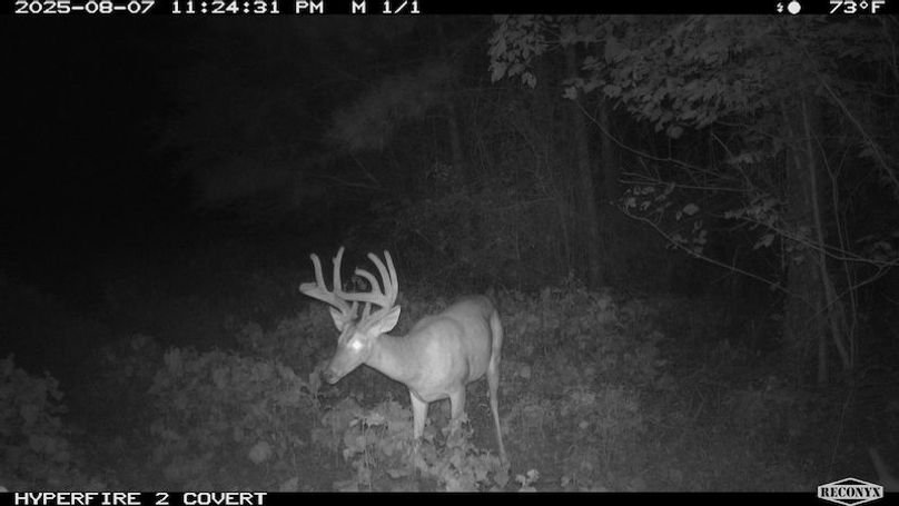 TwinStatesTrailCam29