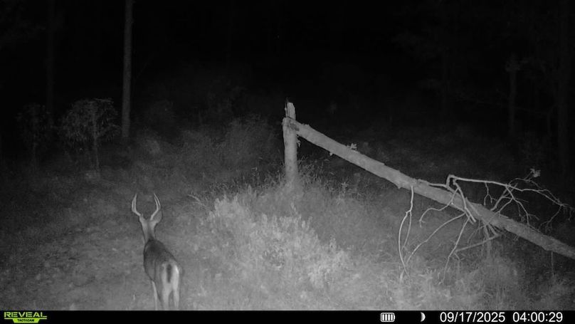 016578004709009-68-3-09172025040029-SYFW01057