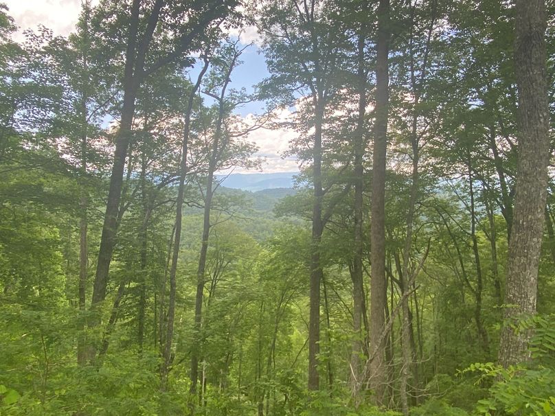 Swain 39 Tysinger-31