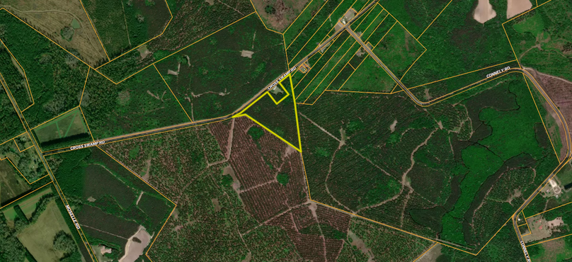 Wide Aerial 16 Acres Barnwell Co