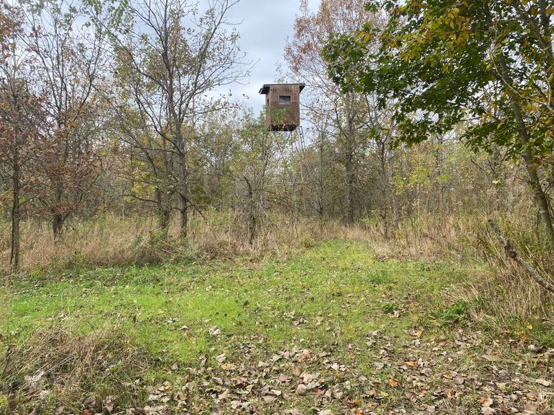 pics from late 2021 and early 2022. New plots being planted in Aug 2023 for new pics (68)