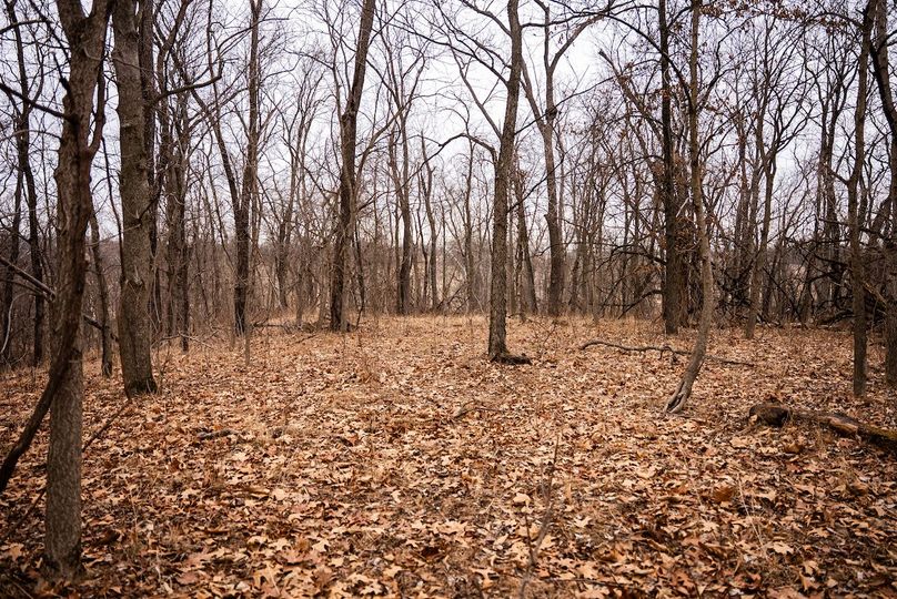 Pike IL 96.87 Adv Pro Photo-27