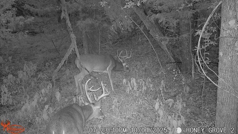 Lamar County- 93 acre reshoot (38 of 40