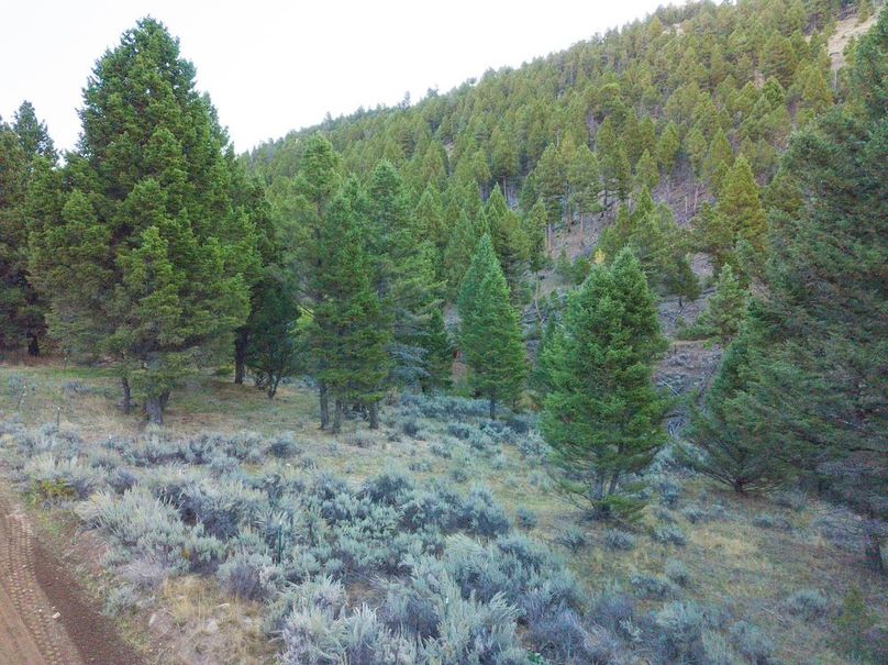 20240925-DJI_0109