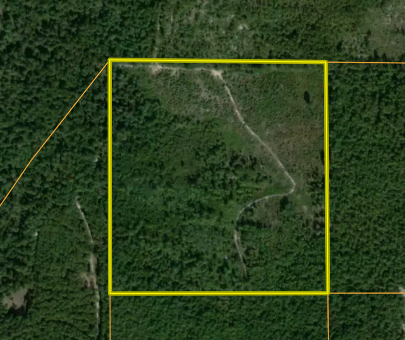 Screen Shot 2023-11-20 at 1.01.29 PM