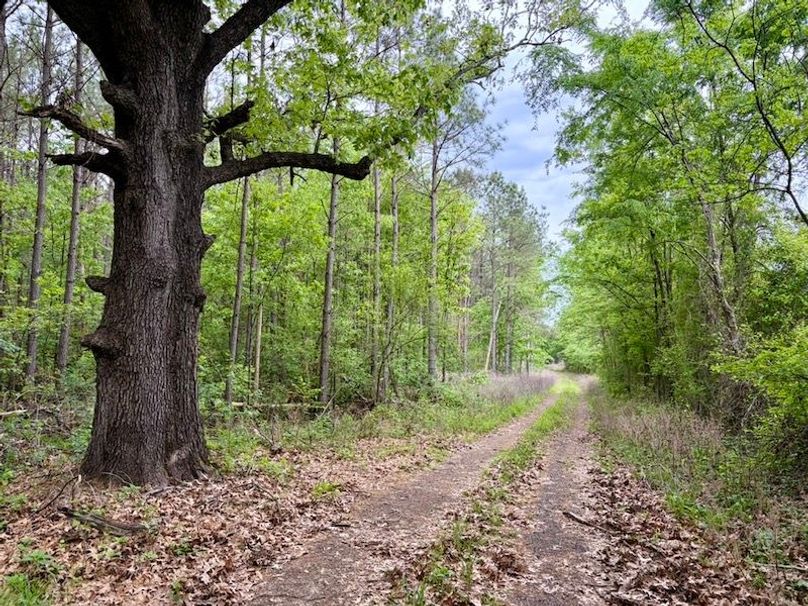 C82A7074-417D-4CFB-8BA5-B71ABD559171_1_105_c