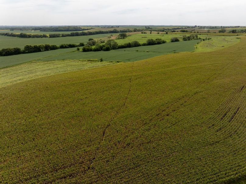 Copy of DJI_20250827114100_0060_D