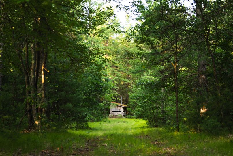 Ogemaw MI 475 Featured Pro Photo-09966