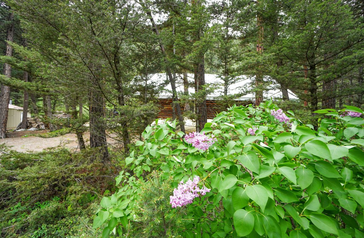 3. 20230606-DSC02517