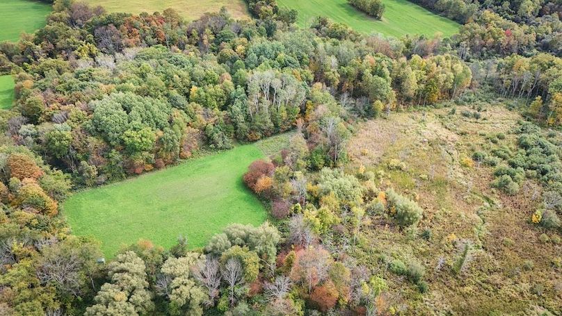 Cayuga_55.02_Herman Photo 43