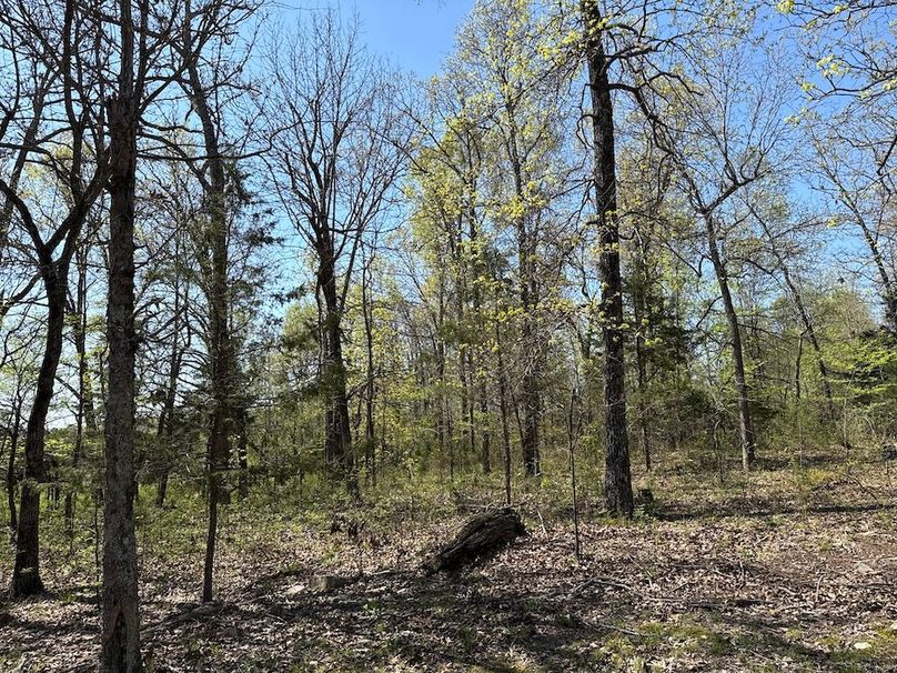 DJI_20260409_105921_538