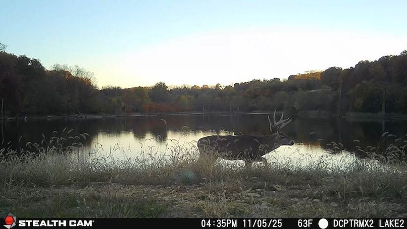 2025110516352501001443_ColorizationType.none