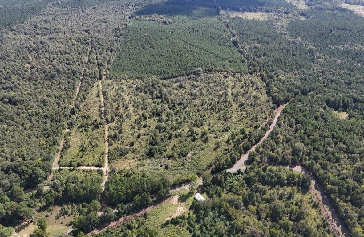 DJI_20250924035714_0752_D