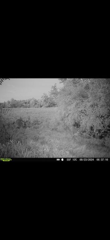 Screenshot 2026-02-09 at 3.36.13 PM