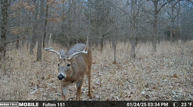 Screen Shot 2025-07-16 at 12.54.44 AM