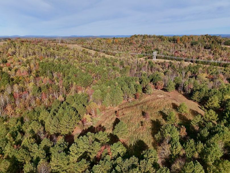 DJI_20251024100822_0008_D