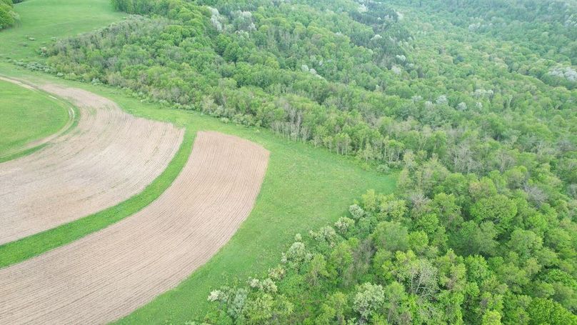 dji_fly_20250515_130134_236_1747328902280_photo