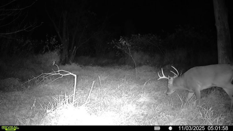 016579008159910-100-4-11032025050158-SYFW00294