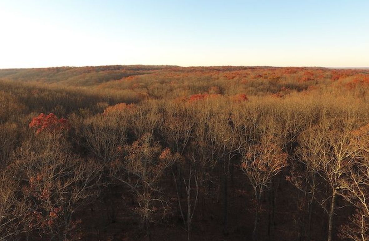 DJI_0047
