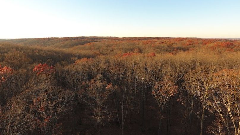DJI_0047
