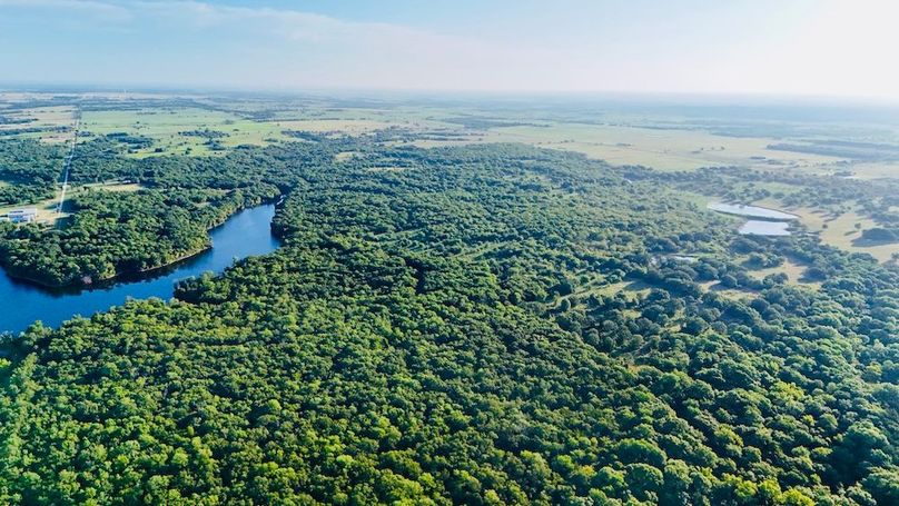 dji_fly_20250728_075154_0033_1753739719477_photo