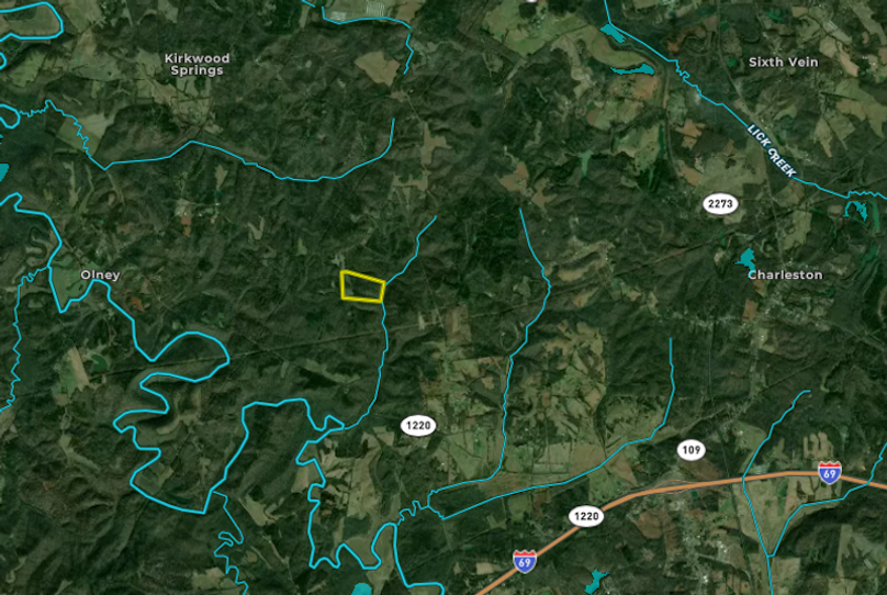 Screenshot 2026-02-19 110841