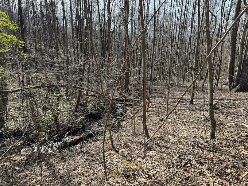 Cherokee 118.85 Harris Top-38