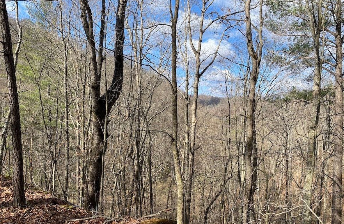 001 mid elevation view from a south facing hillside point copy