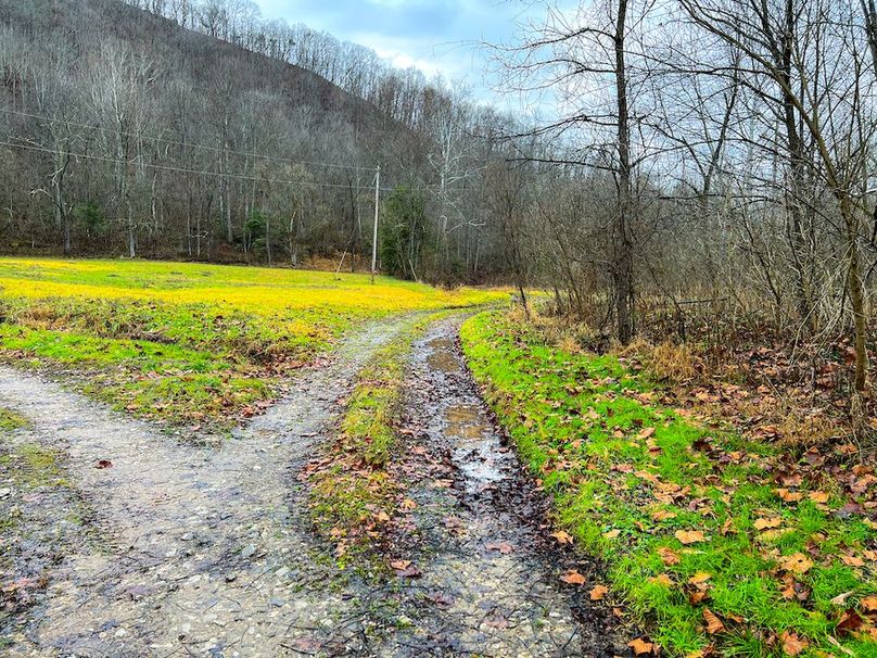 Calhoun, WV 225.69 AC Duffield-23