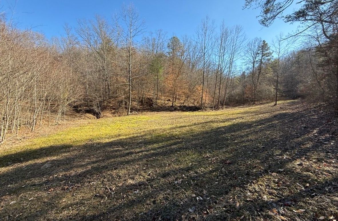 002 the small foodplot in the bottom of the valley near the north boundary