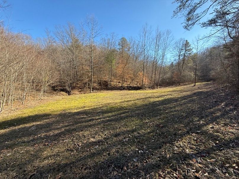 002 the small foodplot in the bottom of the valley near the north boundary