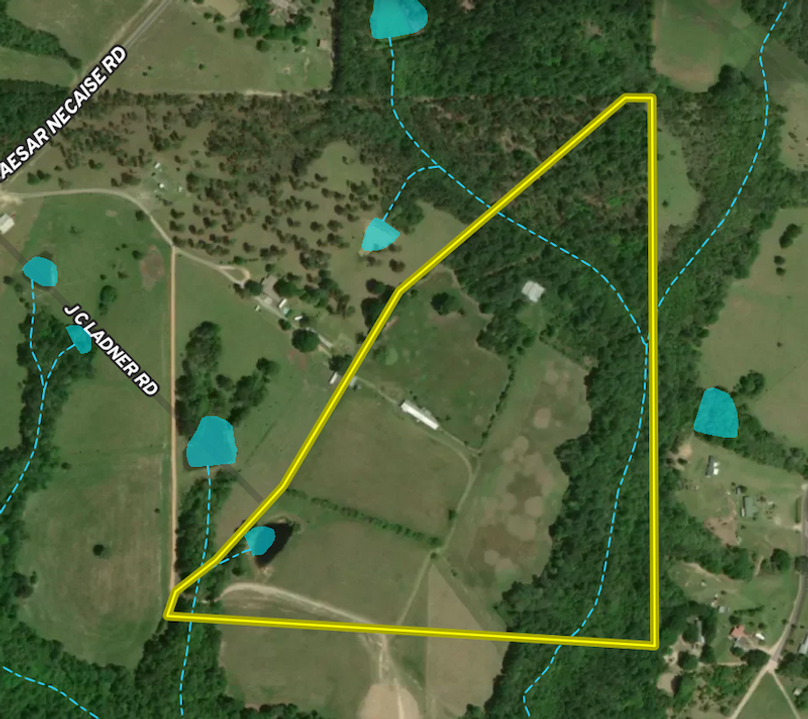 Screen Shot 2026-01-09 at 10.53.28 AM