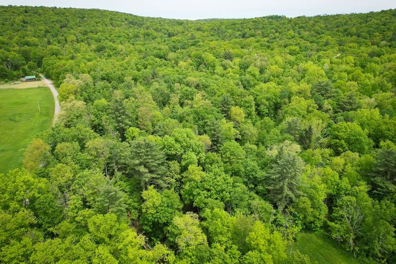 Tioga_31.4_Kemp_Photos_48