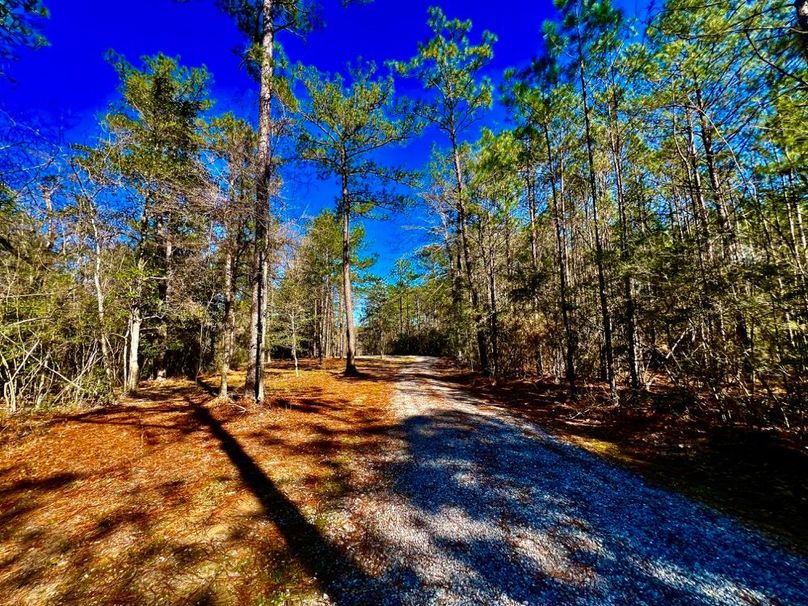 4927F365-7892-4DC2-882E-BD10B4A236C1_1_201_a