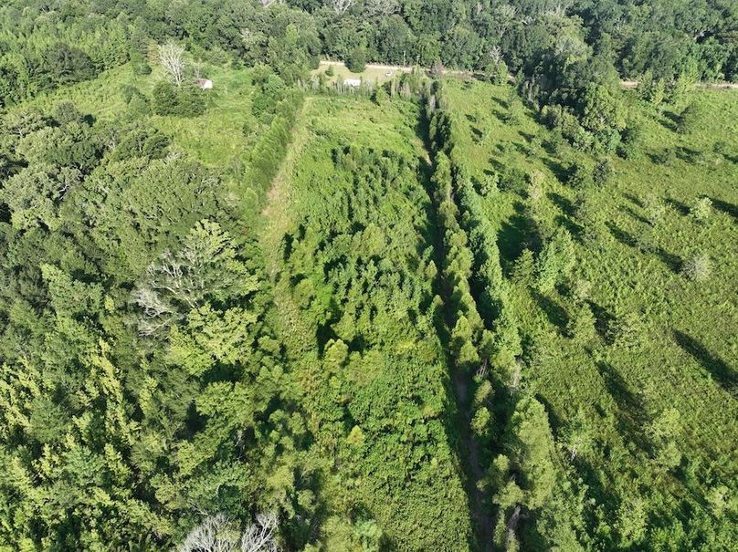 dji_fly_20240822_095540_791_1724354700643_photo