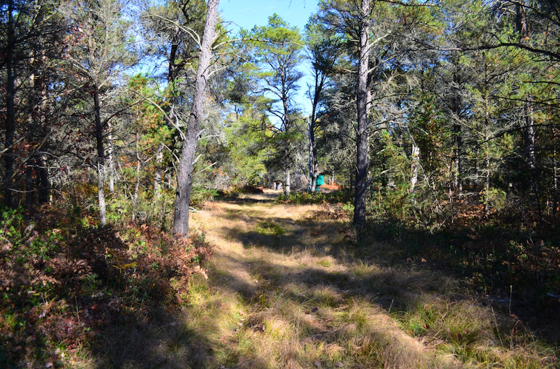 Screenshot 2025-11-14 at 11.15.01 AM