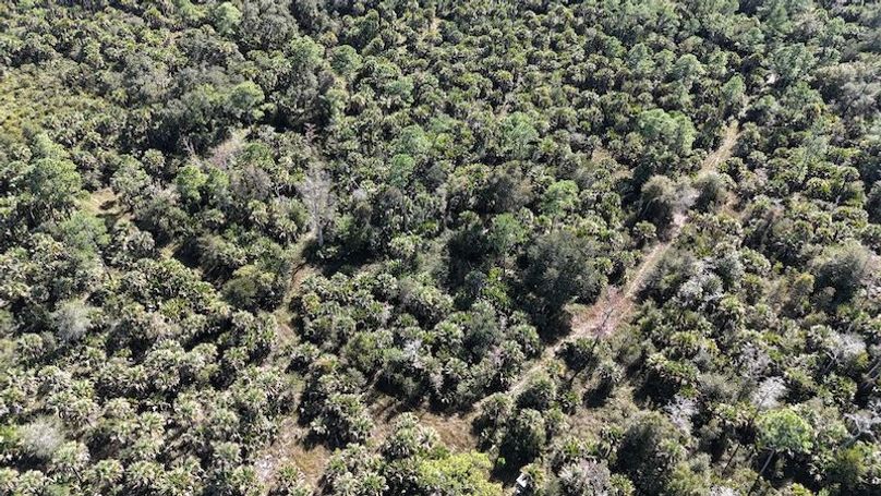 DJI_20251121122007_0017_D