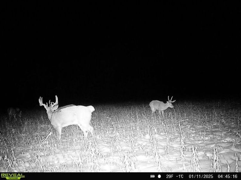 864049057158471-100-4-01112025044516-W1022469