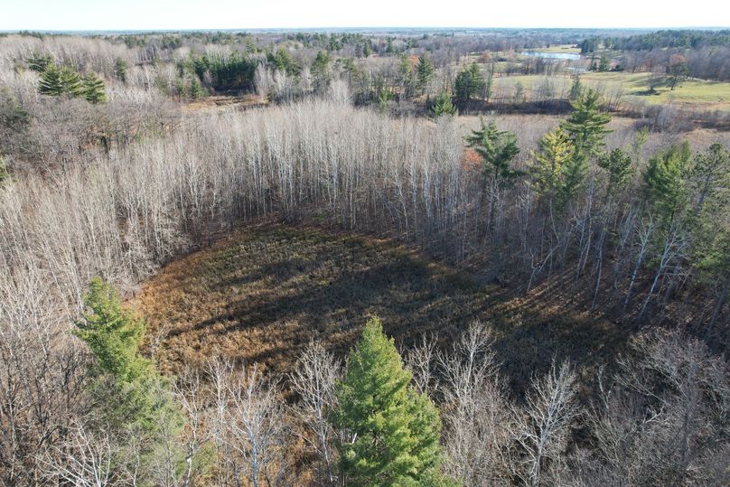 dji_fly_20231113_100924_291_1699892031253_photo