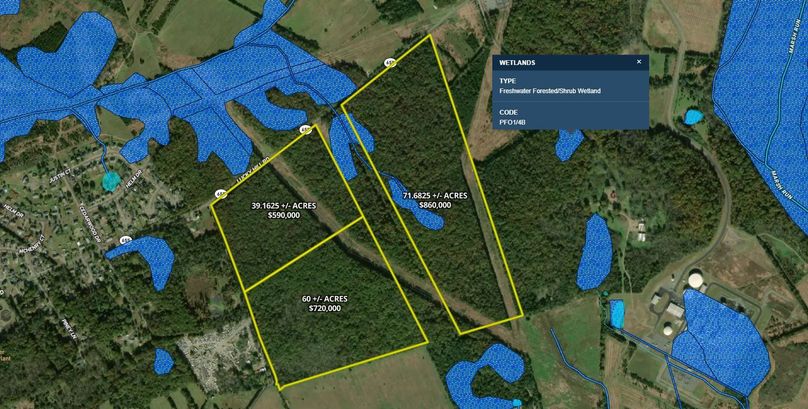 Aerial Wetlands Fauquier 170.85