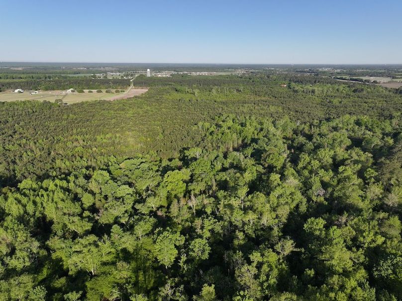 DJI_20250417073125_0012_D