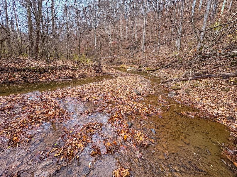 Ritchie, WV 15.5 AC Harper-17