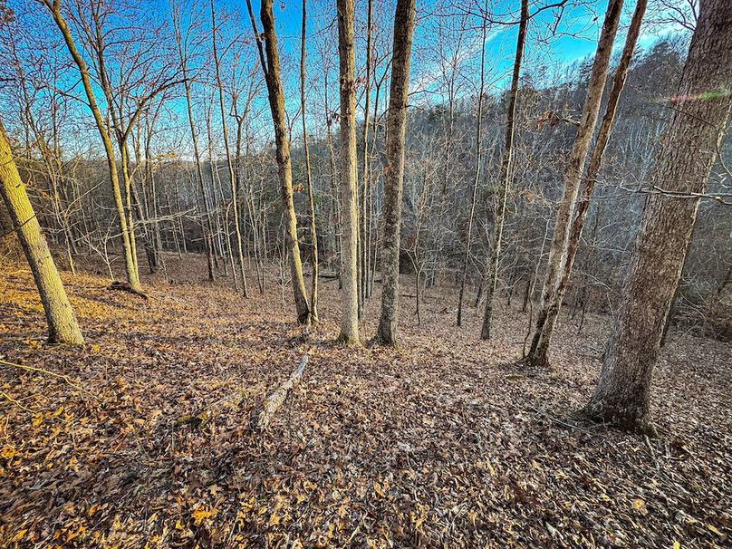 Jackson, WV 118.94 AC Shafer-086